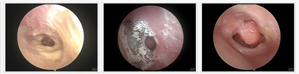 ҽ��������������ŧ����ô����