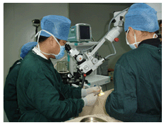 神经性耳鸣有哪些较好的预防方法?