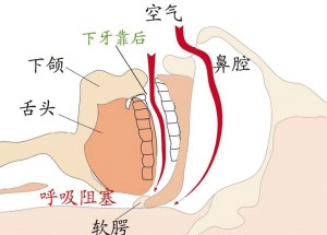 ������ԭ��